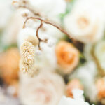 Home FocusCollective 10 150x150