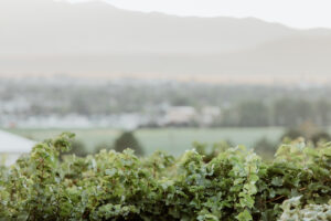 makingmoments k&w 699